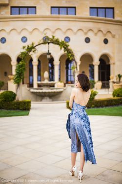 《金花瓶楷梅花2》