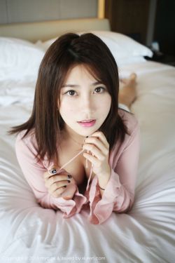 杀破狼在线观看