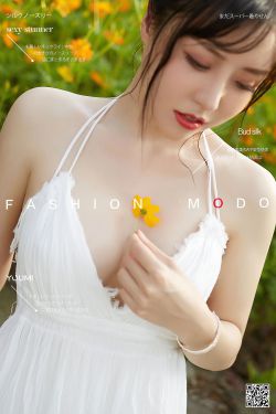 杀破狼在线观看