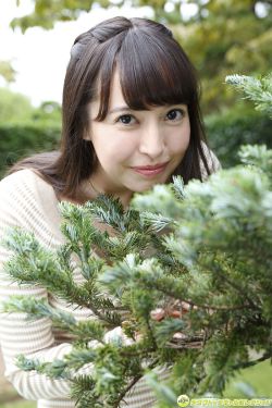 樱兰高校男公关部图片